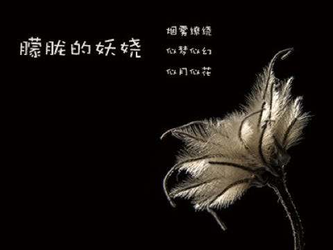 编曲人培训